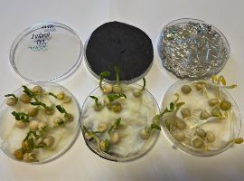 UEB_uvodni foto na web VV