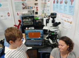 IMG-20250606-WA0041-o