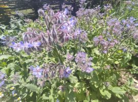 574241321_1411304137668106_7771657710692567009_n