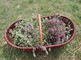 577208166_1411304454334741_3033246048068630000_n