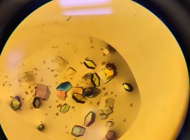 ilustrační foto (5)