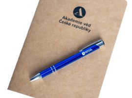 2024-08-13_Merch_AV_vitrina_fullres-21