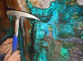 Česká geologická společnost
