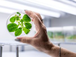 2023-09-15_UEB_promo fotografie_web-54