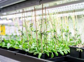 2023-09-15_UEB_promo fotografie_web-92