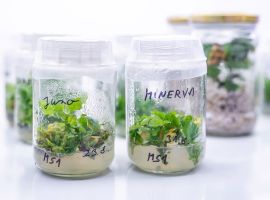 493965143_1243322207802635_5743863554965971417_n