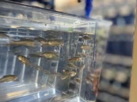 Untitled design (16)