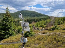 VÚLHM_výzkum lesů1