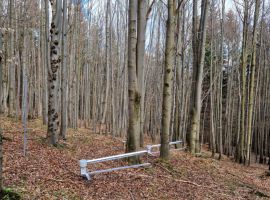 VÚLHM_výzkum lesů2