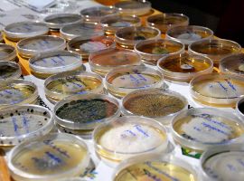 231006_Noc vedcu_K.Capounova (178)