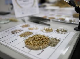 250926_Jitro vyzkumniku_KC (28)