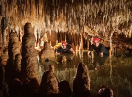 Československá speleologická společnost